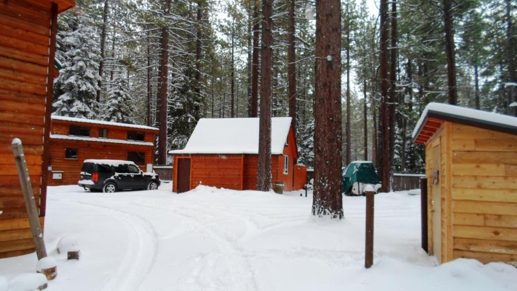 Cedar Pines Resort South Lake Tahoe Exterior foto