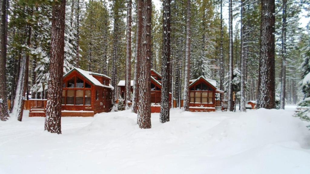 Cedar Pines Resort South Lake Tahoe Exterior foto